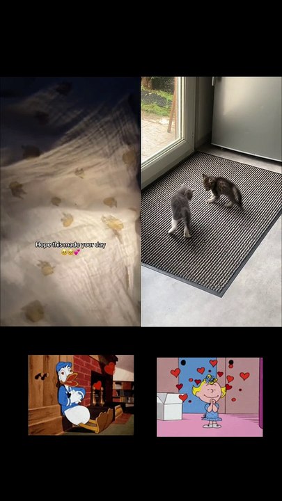 Child happy for kittens