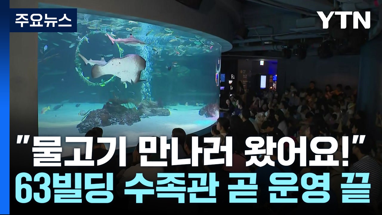 "물고기 만나러 왔어요!"...쾌적한 실내 수족관 '북적' / YTN