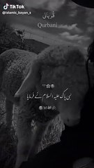 Qurbani krna
