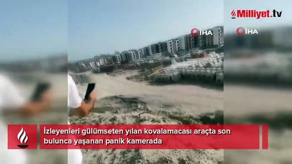 Hatay'da güldüren kovalamaca: Babam yılanla beraber arabayı kullanıyor