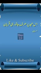 Qurbani shorts | vairal shorts | yt shorts |