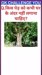 किस पेड़ को कभी घर के अंदर नहीं लगाना चाहिए? #gk #shorts #education #knowledge #viral #upsc #ias #ips