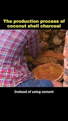 Coconut Farming Generates Revenue #shorts #shortvideo #video #virals #videoviral #innovationhub