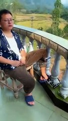 शेर_को_कोई_क़ैद_नहीं_कर_सकता_#shorts_#shortsvideo(360p)