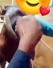 VID-20240606-WA0003
