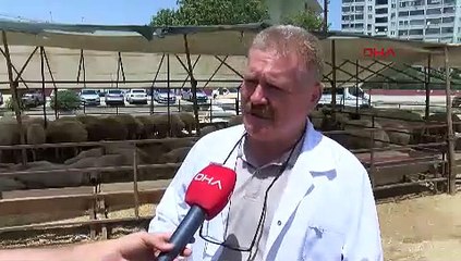 'Sokakta kesilen kurbanlığın etinde strese bağlı bozulma olabilir'