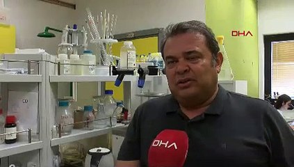 İzmit Körfezi'nde müsilaj benzeri tabakalar görüldü: Numune alındı