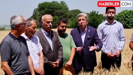 Çiftçiler isyan etti: Çalışırken batıyoruz, çalışmanın bir anlamı kalmadı ki