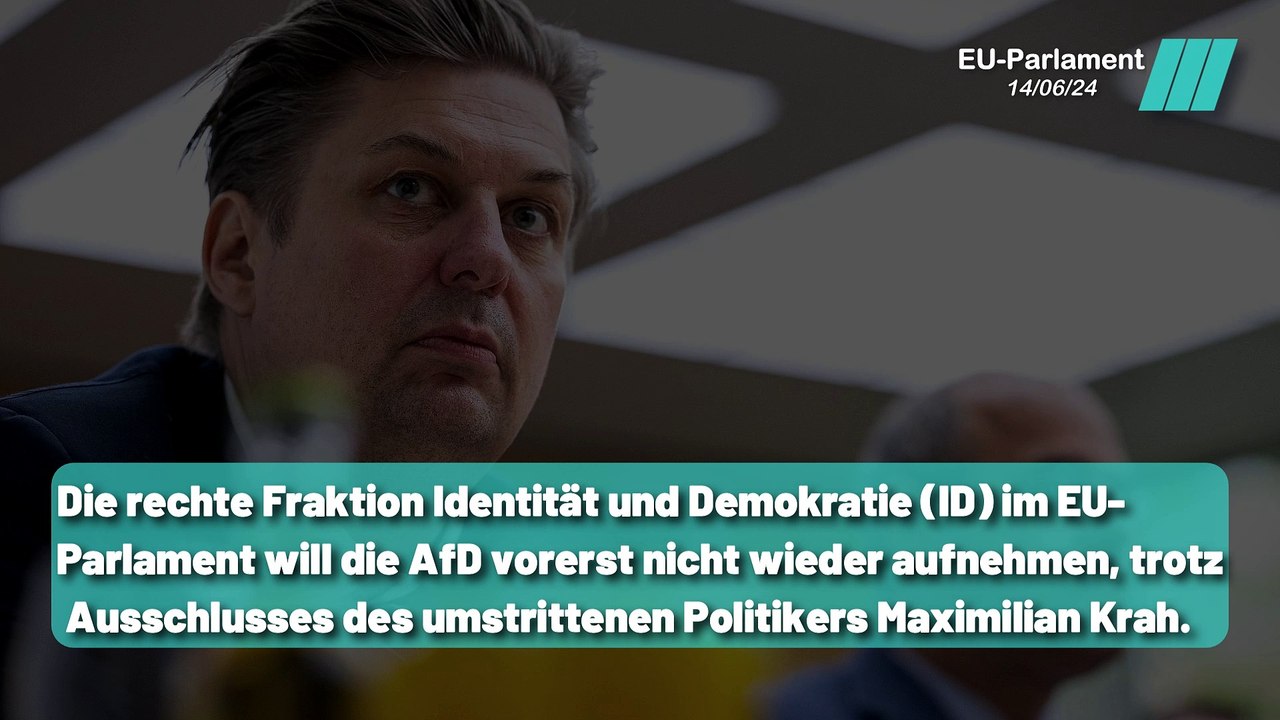 Alice Weidel plant neue Allianzen im EU-Parlament