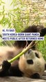 South Korea-born giant panda meets public after returned home