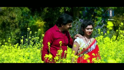 Pairi Jhanka Ke Chudi Khanka Ke _ Full Song _ पैरी झनका के चूड़ी खनका के _ SASURAL _ CG Movie Song