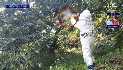벌 쏘임 사고 속출…“20m 밖으로 대피”