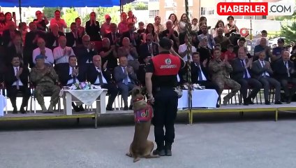 Komandolar zeybek performansıyla göz doldurdu