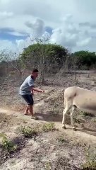 VID-20240615-WA0209
