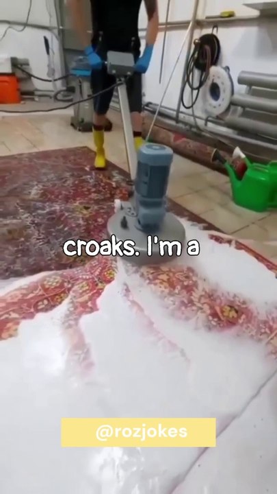 A Mysterious Frog Turns into Prince #jokes #Comedy #Funny