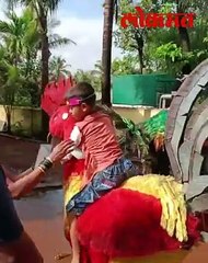 रत्नागिरीकरांची अनोखी कल्पना! पक्षीच अवतरले विद्यार्थ्यांच्या स्वागताला