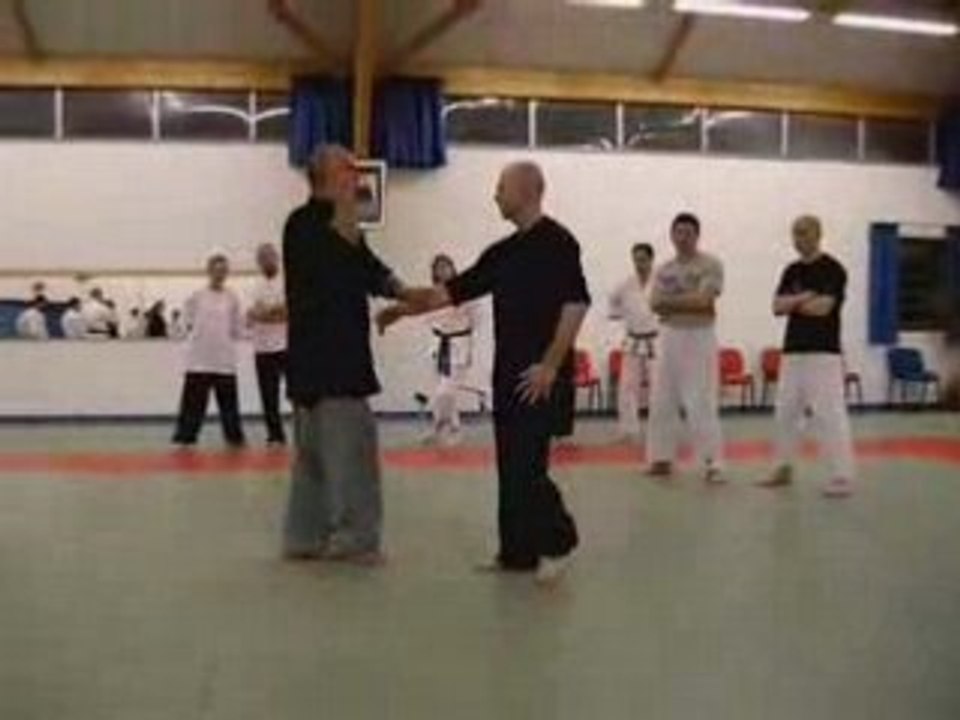Taiji Quan - Thierry Alibert - Ay sur Moselle avril 2008