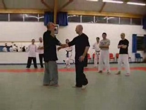 Taiji Quan - Thierry Alibert - Ay sur Moselle avril 2008