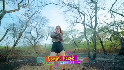 Vita Alvia - Santri Pekok (DJ Remix)