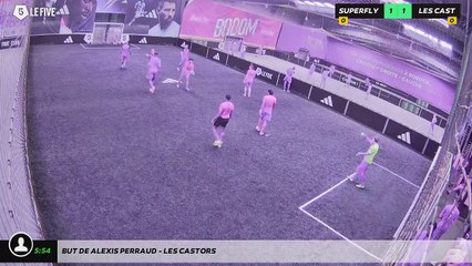 But de Alexis PERRAUD - LES CASTORS