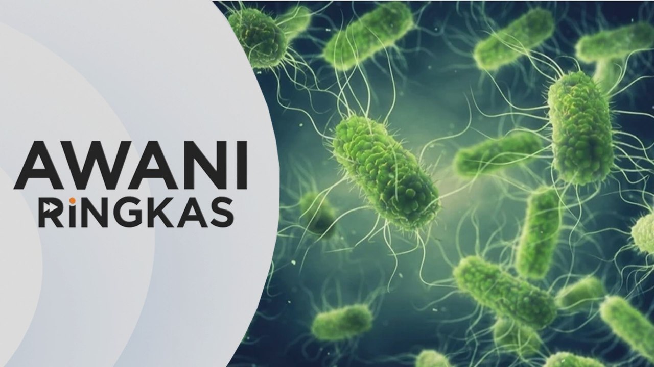 AWANI Ringkas: 11 mangsa masih terima rawatan bagi jangkitan Salmonella