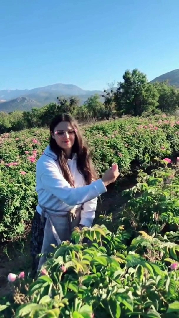 ⁣trending,trending now,shorts trending,#trending,trending remix,trending sound,trending ridham,tiktok