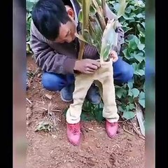 New Chinese Funny Video 2023  #03 - Chinese Most Funny Video - You Laugh You Lose