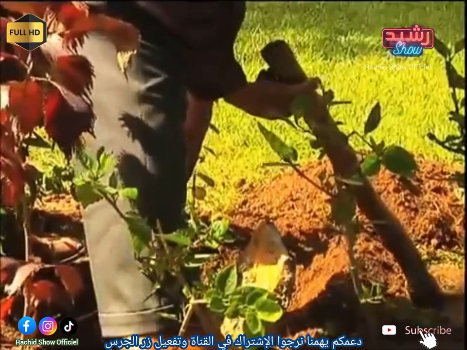 أقوى كاميرا خفية بالمغرب : رشيد العلالي مطلعها على واحد سيد فلڤيلا  Rachid Allali Tkbar Watnsa HD