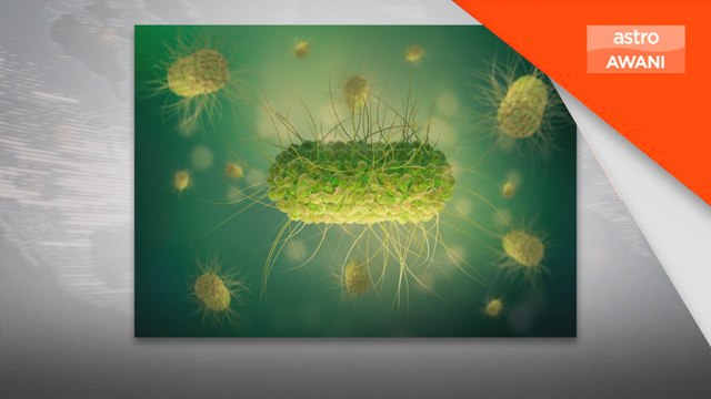 11 mangsa masih terima rawatan bagi jangkitan Salmonella