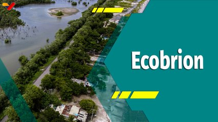 Punto Verde | Ecobrion, una fundación que embellece y recupera las playas de Carenero