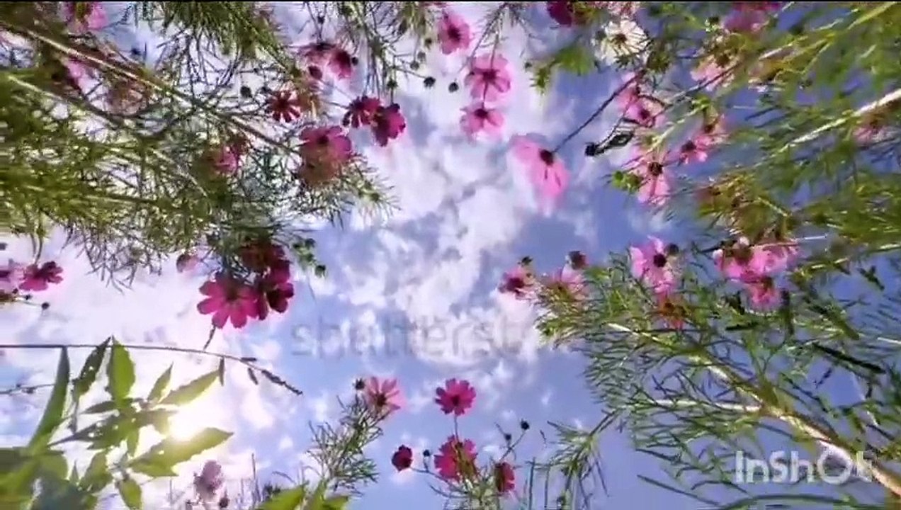 Viral! Peer Ajmal Raza Qadri's Powerful Speech Will Change Your Life| Farmane MUSTAFA Sallallahu Alaihi Wallehi Wasallam