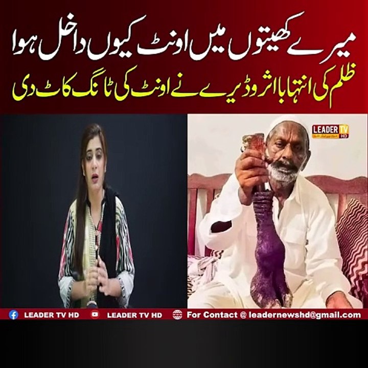 Meray Khetoon May Camel Ku Dakhal Howa ,,?