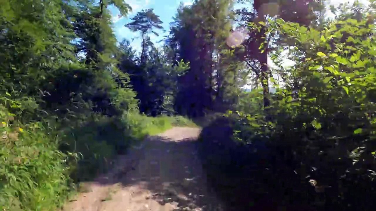 Richtung Pulverstampftor: MTB Lainzer Tiergarten-Strecke (16)