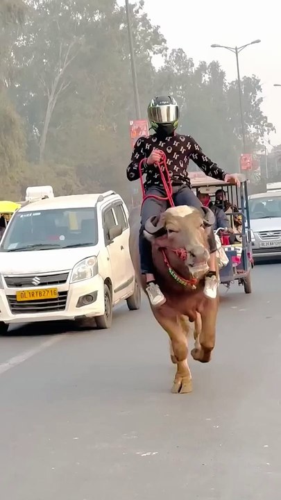 Bach gya aaj to  reaction shorts viral bullvlog