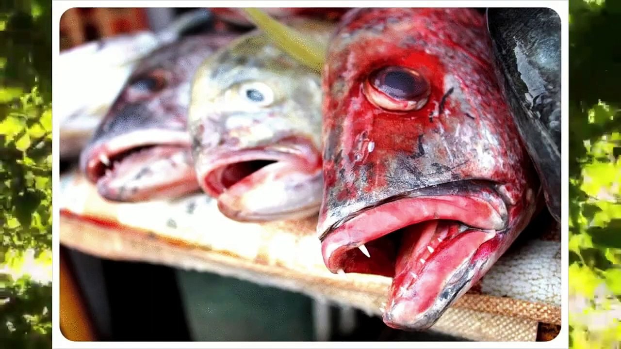 L’Italie aujourd’hui, une économie à jeter !