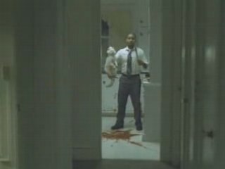 Un diner romantique ? Pauvre chat