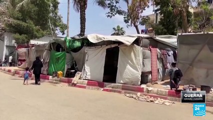 Programa Mundial de Alimentos asegura que se vive una "catástrofe" en Gaza