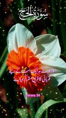 Islamic content #islam #islamic