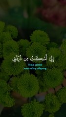 Quran Al Kareem #Quran #surah #islamic