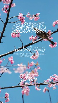 Quran Surah #Quran #quranquotes #qurantilawat