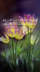 Quran tilawat #islamic #Quran #islam