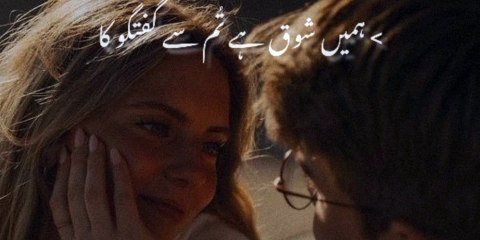 ہمیں شوق یے تم سے گفتگو کا