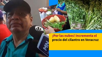 ¡Por las nubes! Incrementa el precio del cilantro en Veracruz