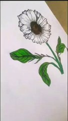drawing_sunflower_for_beginners_#drawing_#everyone_#viralvideo_#cute_#art_#artlovers(360p)