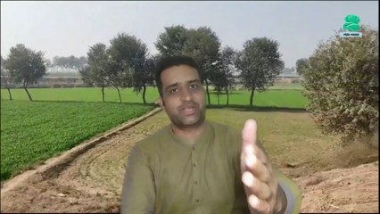 Old Village Life Pakistan | Punjab Old life Experience - #punjabivirsa #oldlife