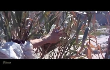 Gentleman Killer   Gentleman Jo... uccidi 1967 Anthony Steffen,Eduardo Fajardo, مترجم