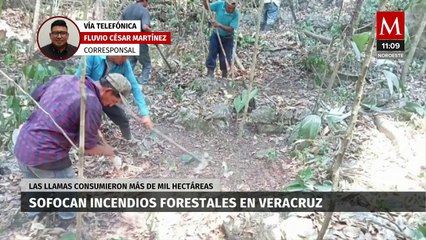 En Veracruz, logran liquidar incendio forestal del Valle de Uxpanapa