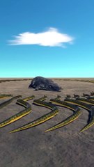 Anaconda vs Purussaurus 3D Animation Animal Cartoon Mobile