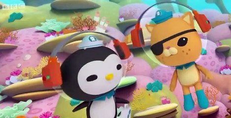 The Octonauts The Octonauts S01 E019 – The Snapping Shrimp