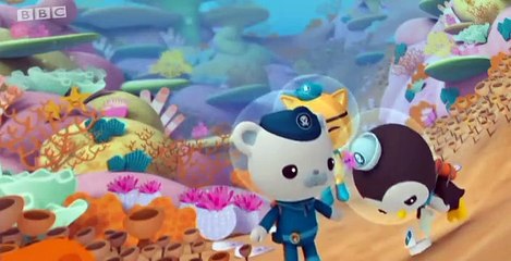 The Octonauts The Octonauts S01 E013 – The Lost Sea Star
